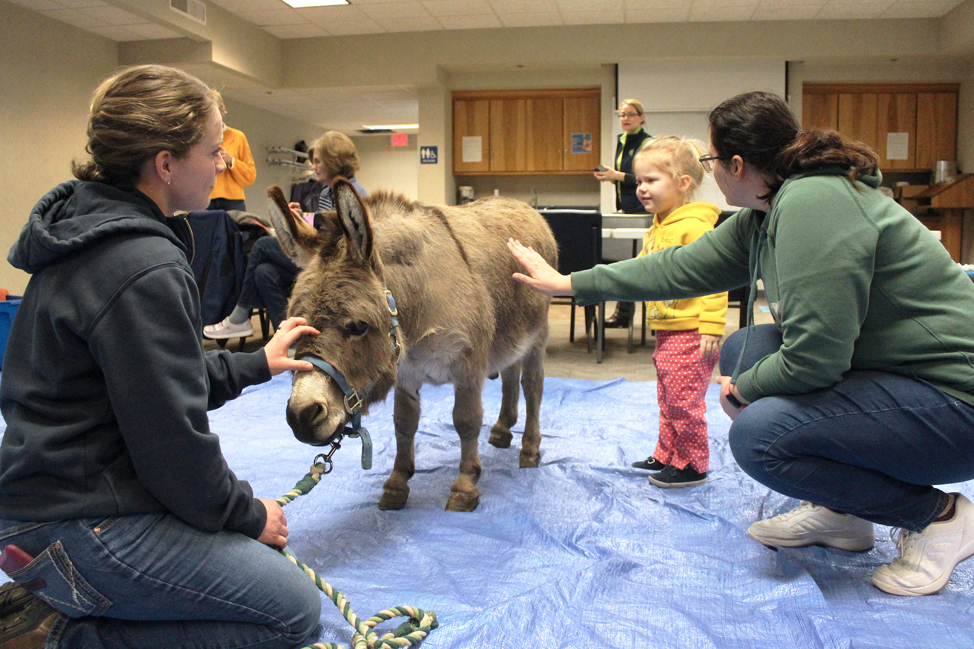 Athalia Blocker (center) with her mother, Jessica (right), is encouraged to touch the soft coat of Franklin the Donkey held by Lexi Schiebout. Mavis Fodness/Rock County Star Herald Photo