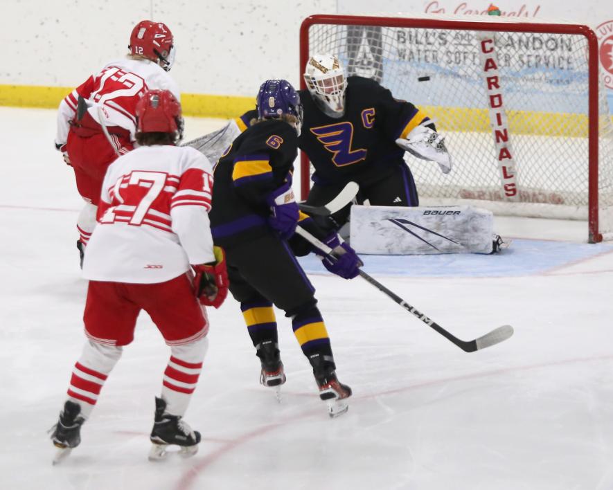 LHS senior Elliot Domagala goes up top to beat the Lourdes goalie in the first period Saturday, Dec. 16, at home. The Cardinals beat Rochester 9-0 for their sixth consecutive win this season.
