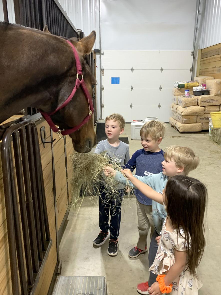 Mox VanderLinden (left), Phineas Jarvis, Carter Sterling and Charlotte Swanson feed hay to Benny, one of the Rock Ranch horses. Mavis Fodness/Rock County Star Herald Photo