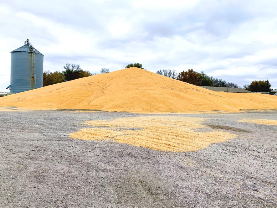 A Star Herald headline on Oct. 30 announced, "Bumper crop collides with tight grain storage" about grain piles heaping on the ground as local facilities ran out of places to store it. Outstanding crop were among the top stories of 2025.