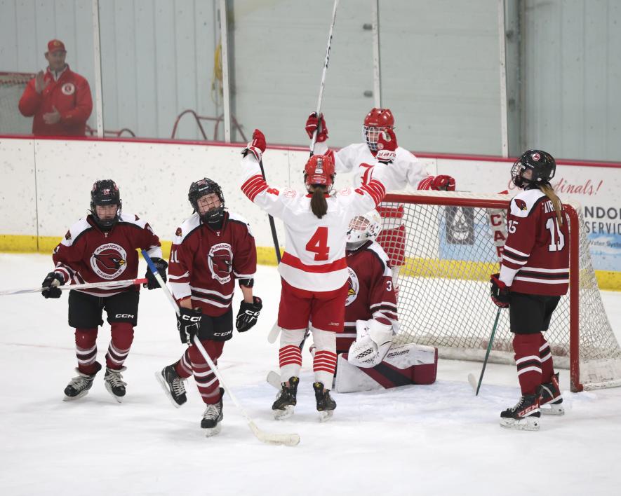 LHS sophomore Izzy Steensma, No. 4, and Ellie Van Batavia, No. 11, celebrate after scoring their fourth goal in the game against Fairmont Saturday, Feb. 8, in Luverne. Greg Hoogeveen/Rock County Star Herald Photo