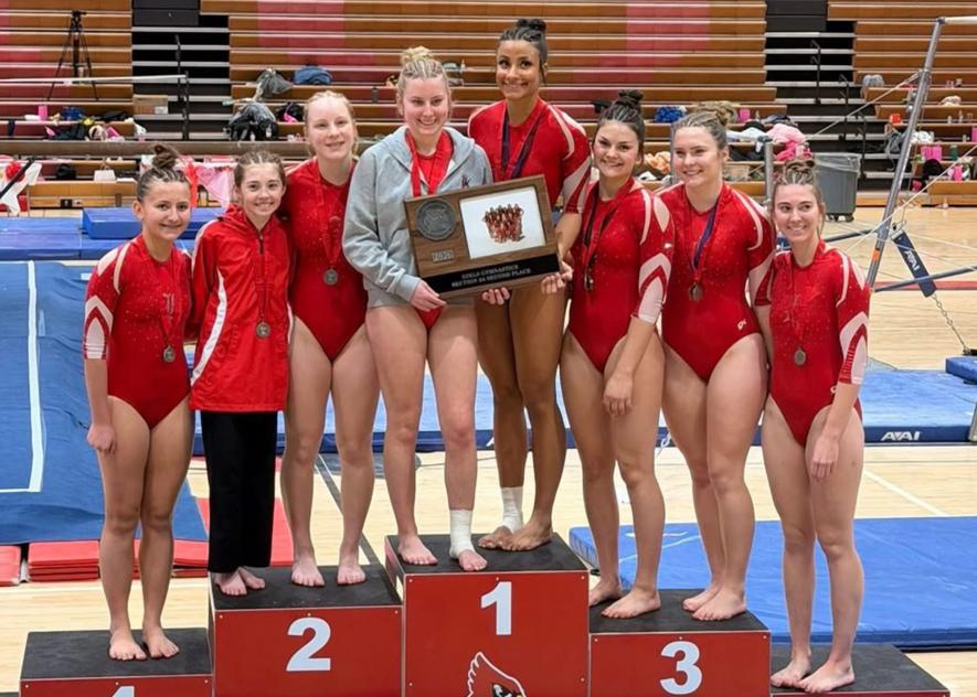 : The Luverne gymnastics team placed second in the section team competition Saturday, Feb. 14, in Redwood. Pictured are (left to right) seventh-grader Gianna Sowles, seventh-grader Tyleigh Hood, freshman Maesa Boyenga, senior Addyson Mann, senior Kianna Winter, eighth-grader Marrs Thone, freshman Emma Cowell and junior Reagan Gangestad.