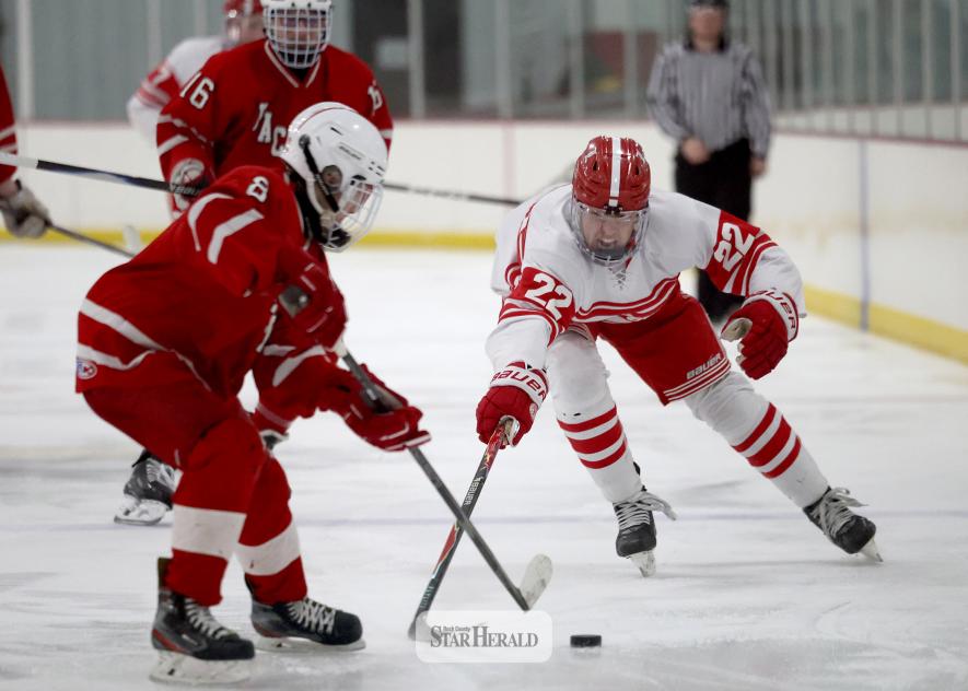 Greg Hoogeveen photo/bhoc3 Luverne junior Will Bergman lunges to knock the puck away from an Austin player Saturday, Jan. 31. The Cardinals pulled out a 9-4 win against the Packers on home ice.