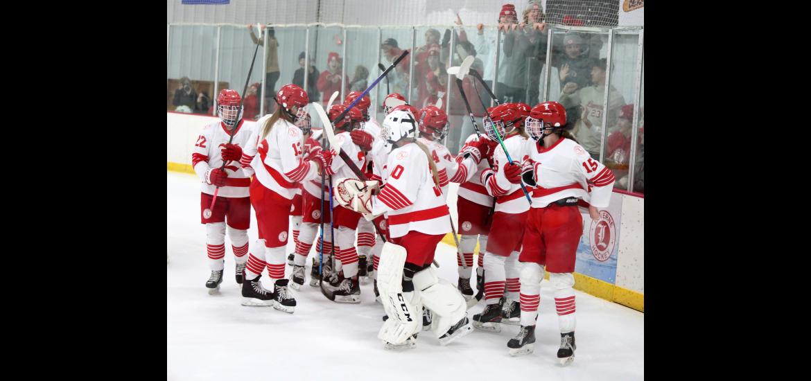 The Luverne girls’ hockey team and fans celebrate their Section 3A overtime win over New Ulm Saturday, Feb. 10, in Luverne. The Cardinals beat the Eagles 3-2 with 28 seconds left in the first overtime period and were scheduled to play Marshall Tuesday, Feb. 13, for the Section Championship in St. Peter. 