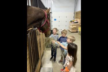 Mox VanderLinden (left), Phineas Jarvis, Carter Sterling and Charlotte Swanson feed hay to Benny, one of the Rock Ranch horses. Mavis Fodness/Rock County Star Herald Photo