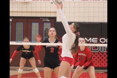 Junior Amira Cowell sets the ball the for Luverne against Redwood in Section 3AA competition Tuesday. Oct. 31 at Redwood-Valley High School. LHS fell in three sets 27-25, 25-19 and 25-19.