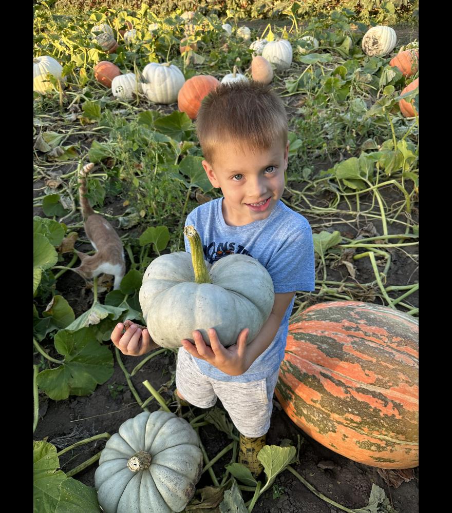 Cedar McFarland holds a popular three-lobe pumpkin. Beside him is a pumpkin showing the effects of the mosaic virus, which causes the pumpkin skins to turn variegated colors.
