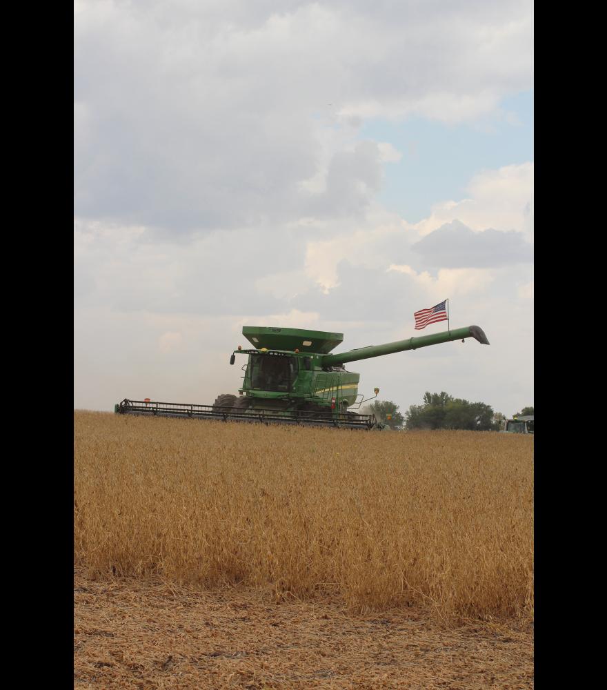 A flag flies from the combine driven by Shane Hubbling as he harvests early-maturing soybeans from a field southeast of Hardwick Monday afternoon.