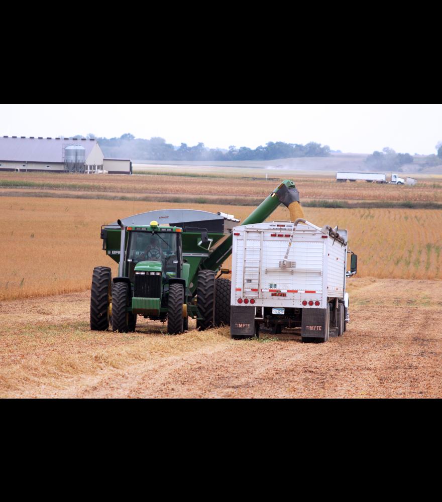 Tractor driver Craig Mulder unloads soybeans into a semitrailer Monday afternoon near Hardwick.