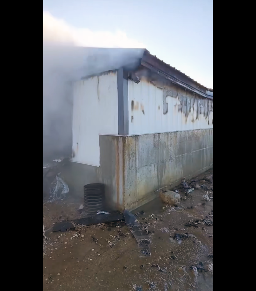 Smoke rolls out of the east end of the hog confinement facility east of Luverne on Jan. 20 when the Luverne Fire Department was first called to the fire. The blaze was likely caused by a “low-level explosion” of methane gas from the underbuilding manure pit.